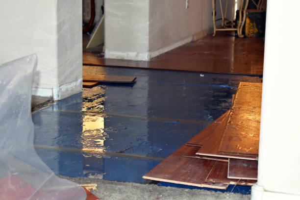 Professional Basement Flood Cleanup technician working in Climax, NY